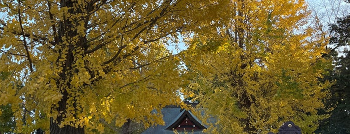 榛名神社 is one of 神社_埼玉.