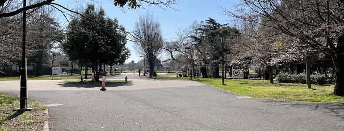 済美山運動公園 is one of Park.