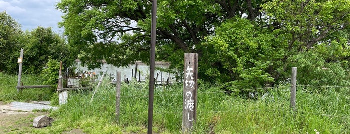矢切の渡し is one of ほっけの葛飾区足立区江戸川区.