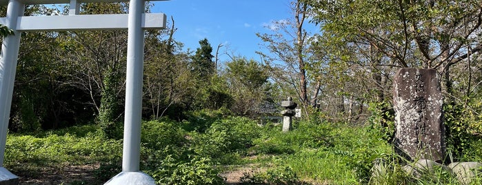 Kambara Castle Ruins is one of 訪問済みの城2.