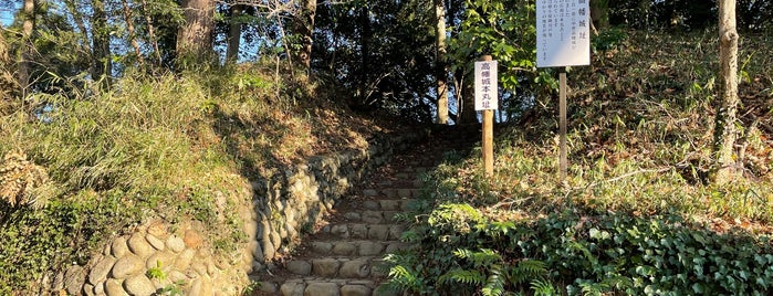 Takahata Castle Ruins is one of 城 (武蔵).