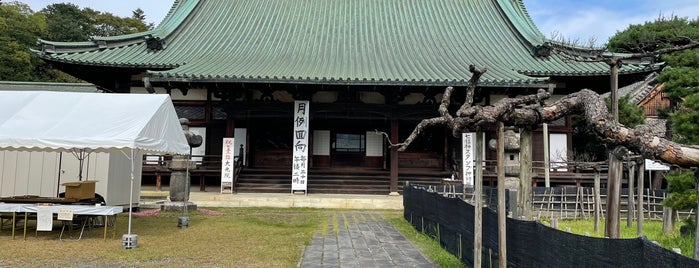 大光院 is one of 御朱印をいただいた寺社記録.