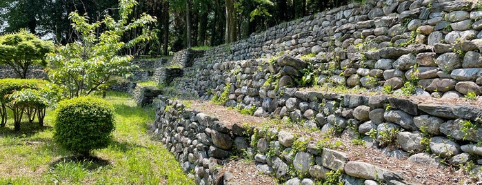 Hachigata Castle Ruins is one of 日本 100 名城.