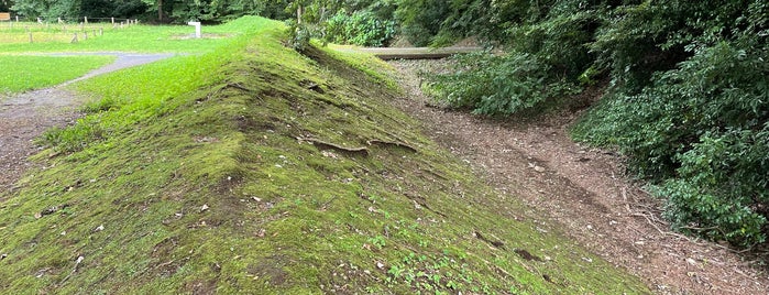 Jindaiji Castle Ruins is one of 城 (武蔵).