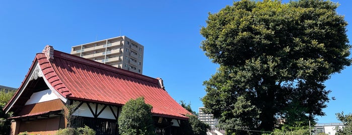 智音神社 is one of 神奈川東部の神社(除横浜川崎).