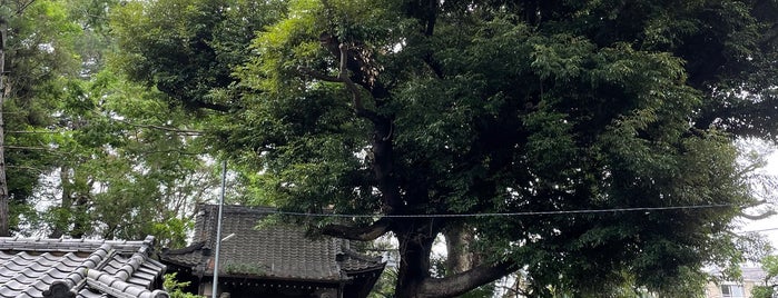 湯殿神社 is one of 城 (武蔵).