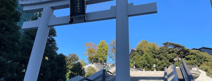 山王日枝神社 大鳥居 is one of Orte, die Tomo gefallen.