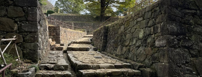 Kanayama Castle Ruins is one of 日本 100 名城.