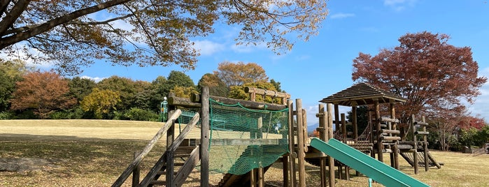 山上城跡公園 is one of 訪問済みの城.