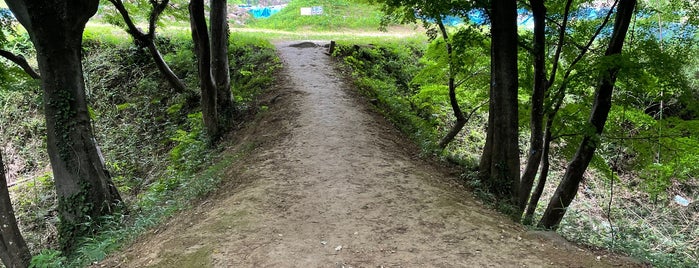 Takeda Shrine is one of 日本 100 名城.