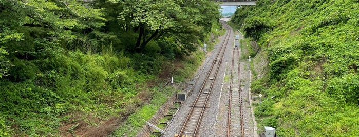 水戸城跡 is one of 日本 100 名城.