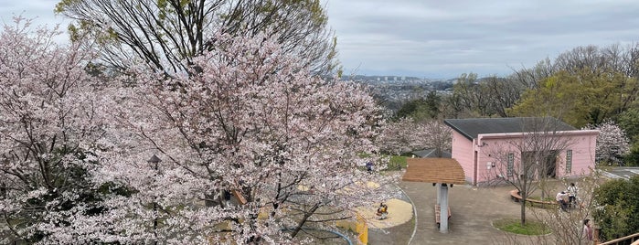 桜ヶ丘公園 is one of 公園.