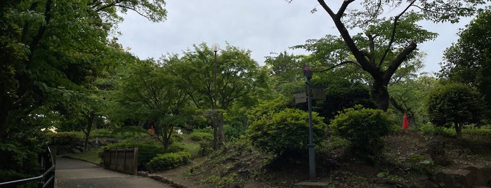 Nogeyama Park is one of 神奈川.