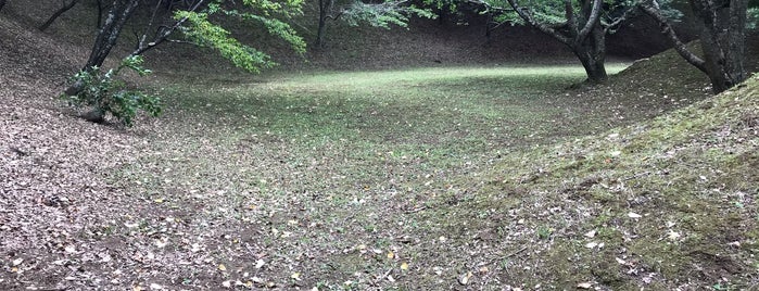 Sakura Castle Ruins Park is one of 日本 100 名城.