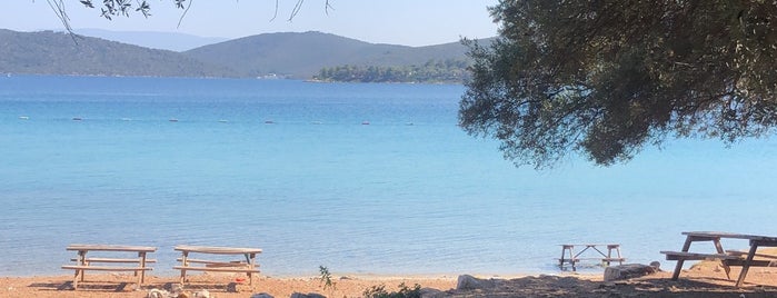 Köhne beach is one of Bodrum.