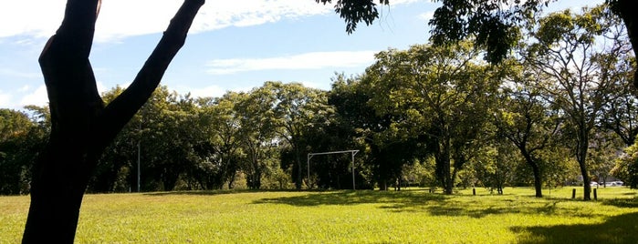 SQN 216 is one of Tempat yang Disukai Fábio Marcelo.