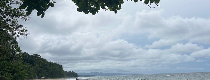 Playa Punta Uva is one of Costa Rica -- to check out.