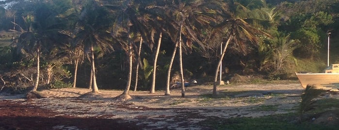 Skeets Bay is one of Barbados.