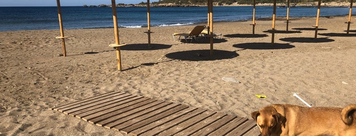 Grammeno camping is one of Chania.