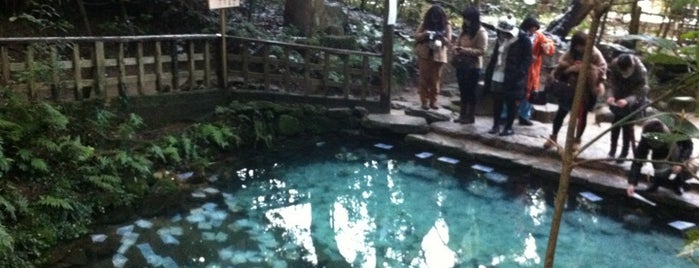 鏡の池 is one of Locais curtidos por Makiko.