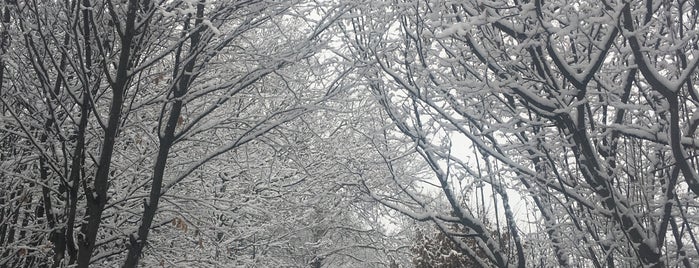 Alaçam Köyü is one of Lale'nin Beğendiği Mekanlar.