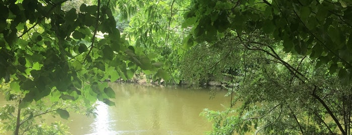 Atatürk Arboretumu is one of Orte, die Lale gefallen.