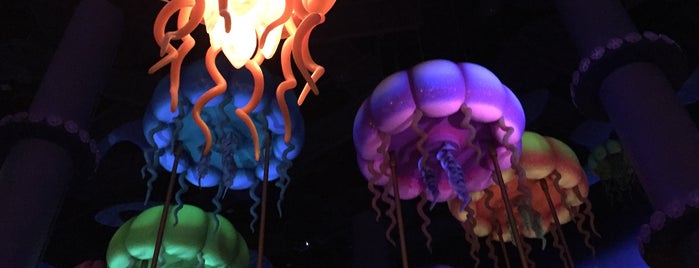 Jumpin' Jellyfish is one of Tokyo Disney Resort♡.