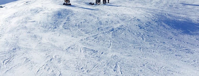 ZIL Ski Lift is one of Healty Club.