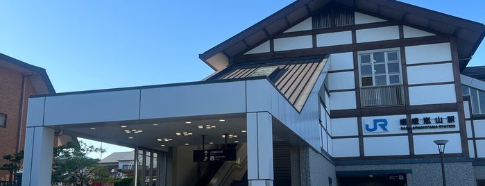 Saga-Arashiyama Station is one of JR.
