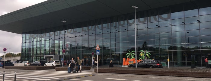 Международный аэропорт Люксембург-Финдел (LUX) is one of Elise : понравившиеся места.