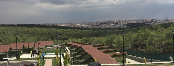 Seyr-i Antep Restaurant is one of Tempat yang Disukai DGN.