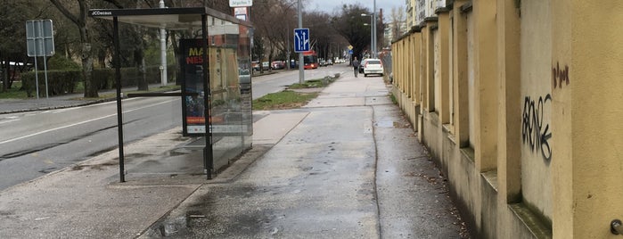 Zimný štadión (bus, trolleybus) is one of Martin'in Beğendiği Mekanlar.