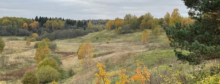 Городище Радонеж is one of Крепости, Кремли и городища России.