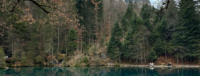 Blausee is one of Switzerland.