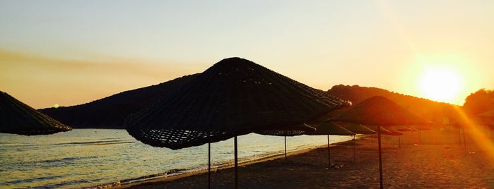 Özil, Karaincir Plajı is one of Tempat yang Disukai Etem.
