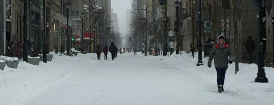 Walnut Street is one of Philly.