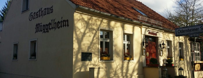 Gasthaus Müggelheim is one of สถานที่ที่ Basy ถูกใจ.