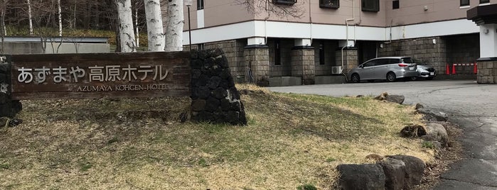 あずまや高原ホテル is one of Lugares guardados de Z33.