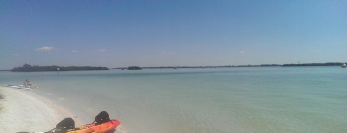 Fishin In The Middle Of Tampa Bay is one of Ron’s Liked Places.