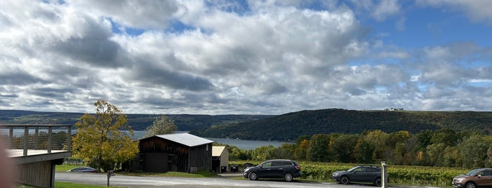 McGregor Vineyard is one of Finger Lakes Wine Trail & Some.