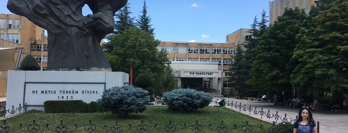 Hacettepe Üniversitesi Tıp Fakültesi is one of Hacettepe Üniversitesi.