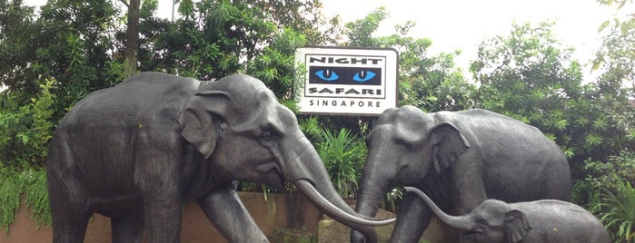 Night Safari is one of explore Singapore.