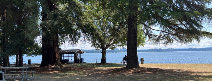 Madrona Park is one of Seattle Parks and Outdoor Spaces.