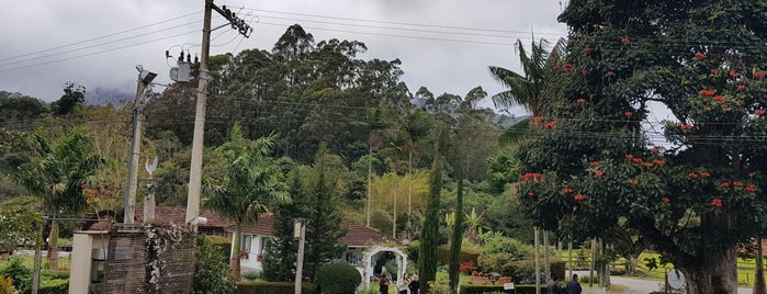 Rota do Lagarto is one of สถานที่ที่ Jefferson ถูกใจ.