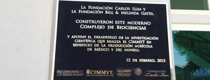 New Lab building CIMMYT is one of สถานที่ที่ Gilberto ถูกใจ.