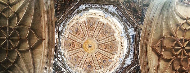 Catedral de Salamanca is one of สถานที่ที่บันทึกไว้ของ Dilara.