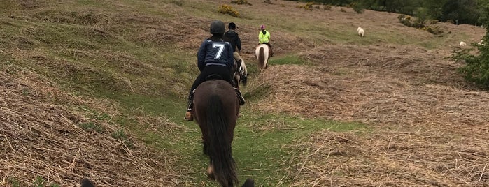 Cantref Adventure Farm is one of Great family walks.