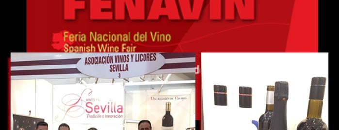 Bodegas F. Salado is one of GLOBALUM.