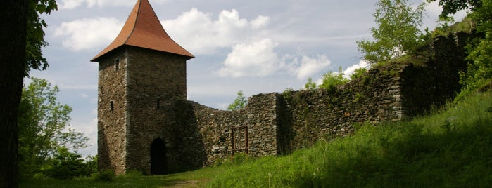 Burgruine Wiedersberg is one of HOF.