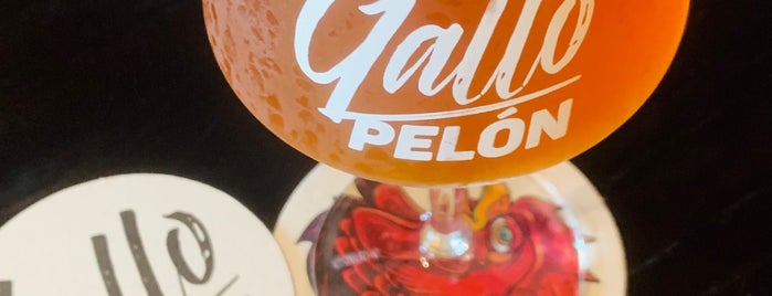 Gallo Pelón Brew Pub is one of Locais curtidos por Dario.
